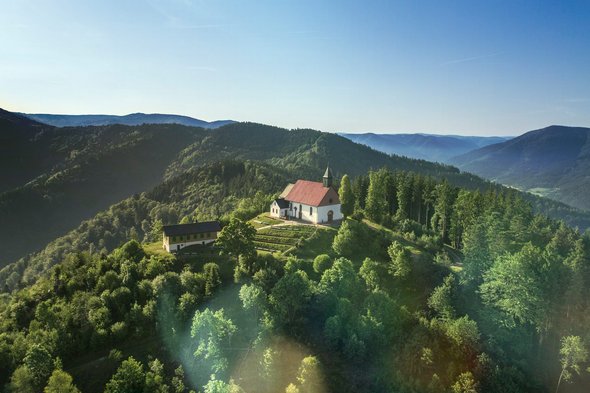 Blick auf den Hörnleberg