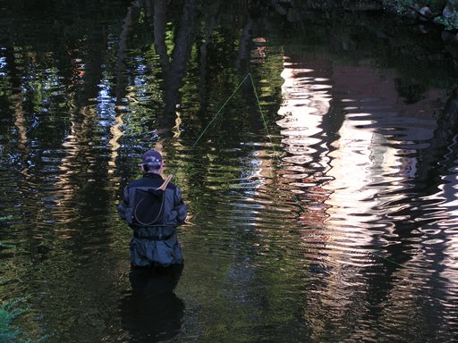 Angler in der Elz